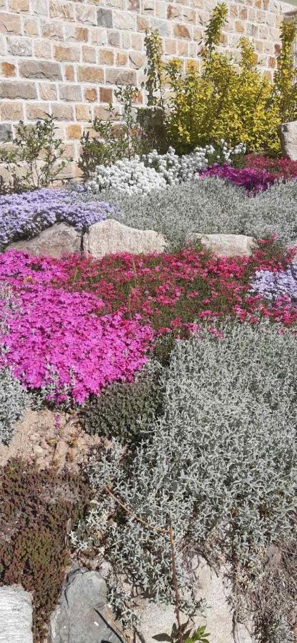 הוילה קלופר Комплекс Омайник מראה חיצוני תמונה