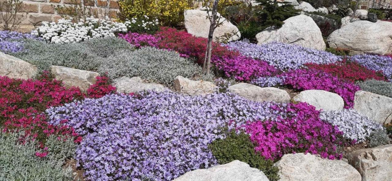 הוילה קלופר Комплекс Омайник מראה חיצוני תמונה